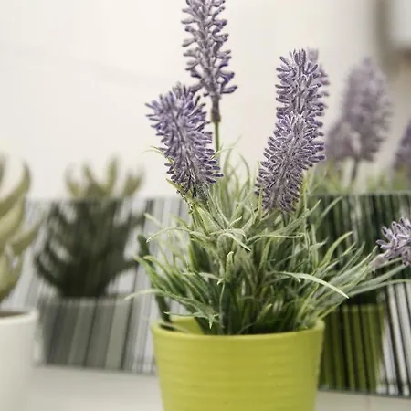 Apartamento Luxury Nina